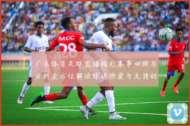 广东体育足球直播精彩赛事回顾与分析全方位解读球迷热爱与支持的力量