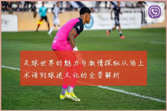 足球世界的魅力与激情探秘从场上术语到球迷文化的全景解析