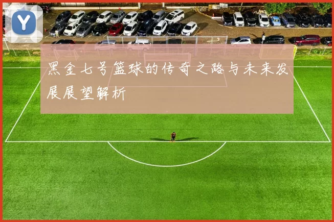 黑金七号篮球的传奇之路与未来发展展望解析
