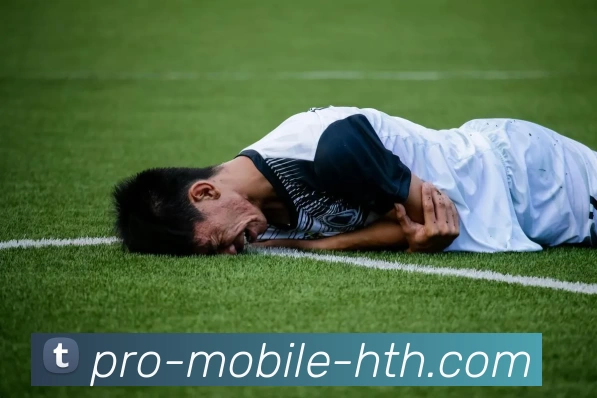 华体会App服务体系